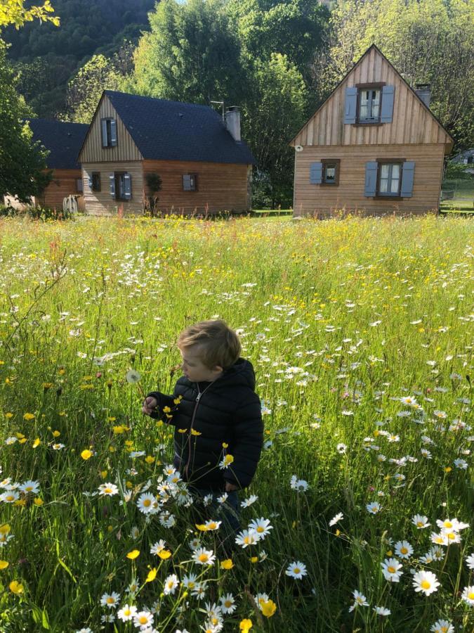 Les Chalets D'Arrens エクステリア 写真